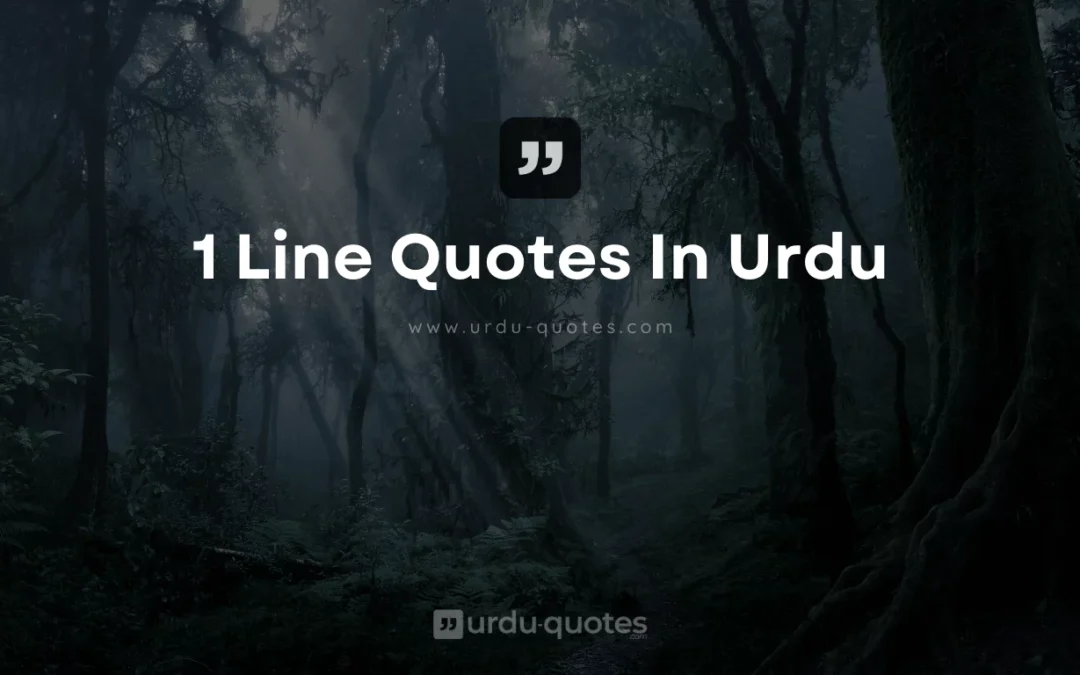 1 Line Urdu Quotes in Urdu – Inspiration for Life