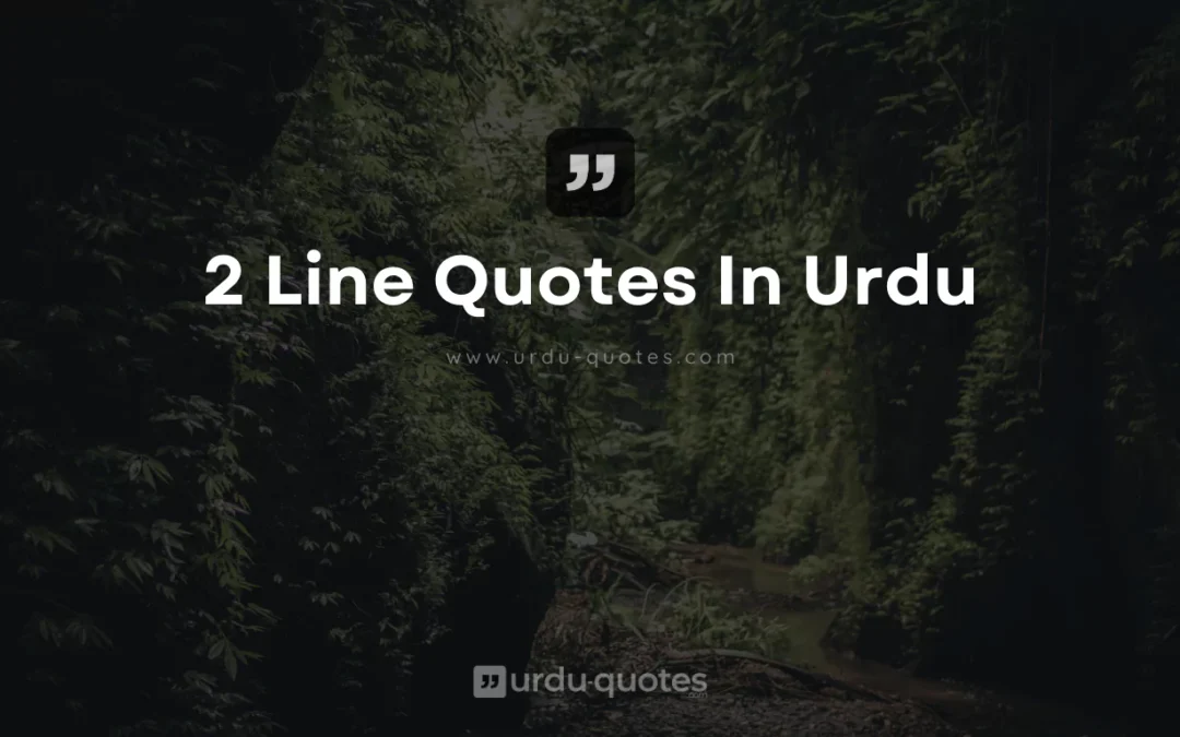 50+ Best 2 Line Urdu Quotes – Wisdom for Life