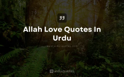 Beautiful Allah Love Quotes in Urdu Strengthen Your Faith & Inner Peace