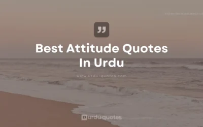 Best Attitude Quotes in Urdu