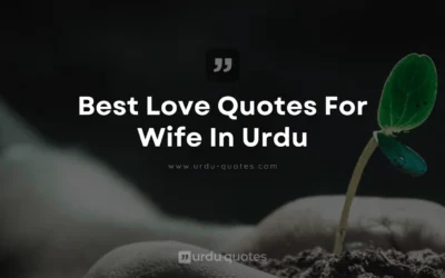 Best Love Quotes for Wife in Urdu: Express Your Affection