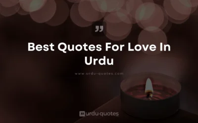 Best  Quotes on Love in Urdu: Express Your Feelings