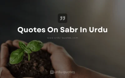 40+ Quotes on Sabr in Urdu – Beautiful Reminders to Be Patient