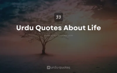 Urdu Quotes About Life – Wisdom, Love, and Inspiration