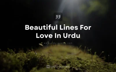 Beautiful Lines For Love In Urdu