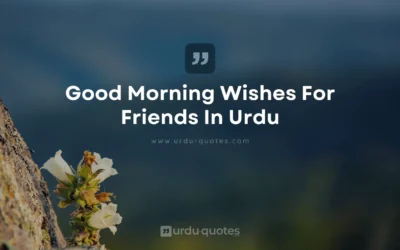 Good Morning Wishes for Friends in Urdu