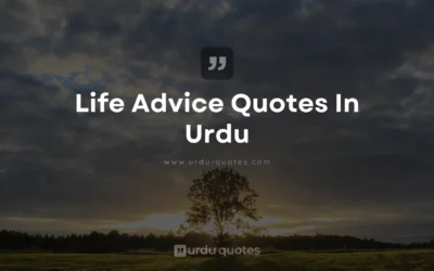 Life Advice Quotes in Urdu